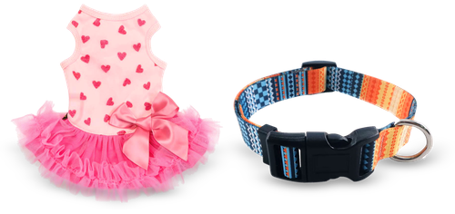 Vestido para perro y collar con soporte para AirTag